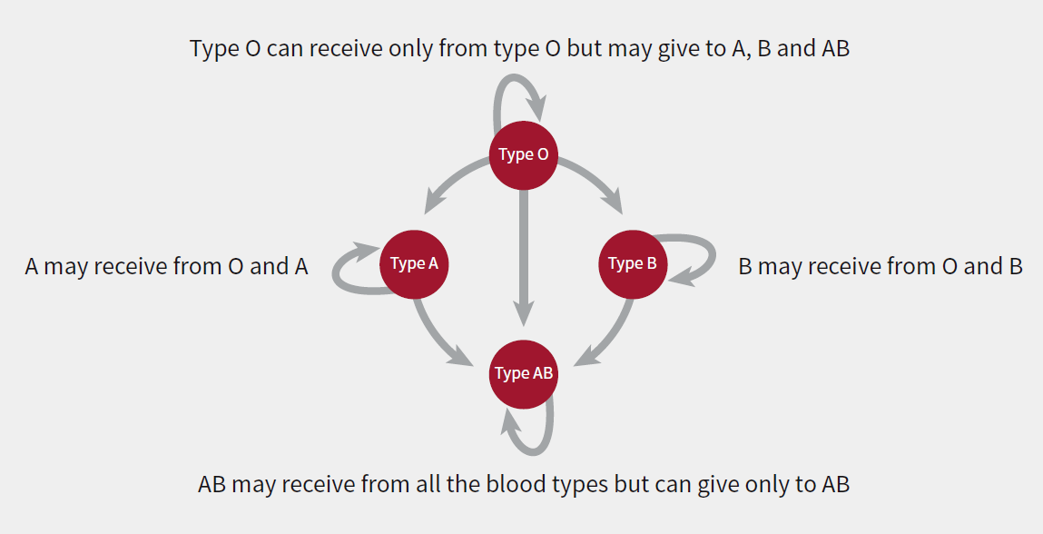 Diagram showing which blood types can give to and receive from one another.