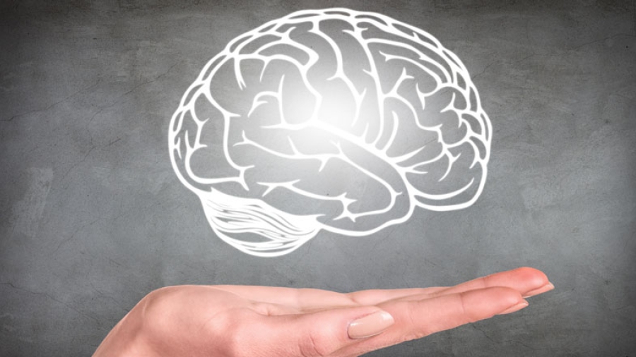 A hand in front of a chalk board drawing of a human brain
