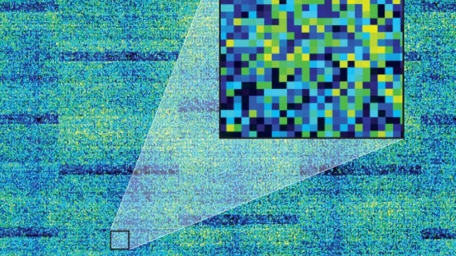Output from the GeneTitan system that the Heart Institute used in the 2011 CARDIoGRAM consortium discovery of 13 new genetic variants associated with heart disease. Each square shown in the close-up represents one of the 1.1 million genetic variants each sample was compared against. Black indicates the sample had no copies of a given variant, yellow indicates two copies and other colours indicate one copy.