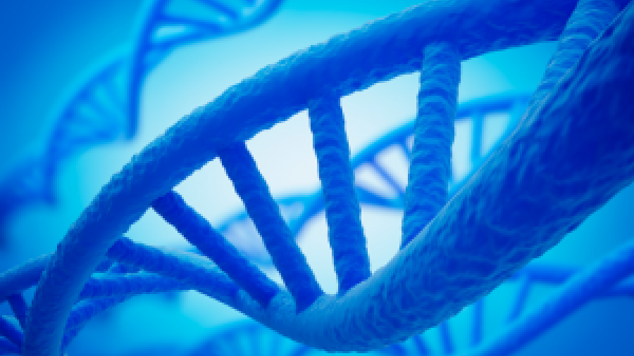 Digitally Generated DNA Strands