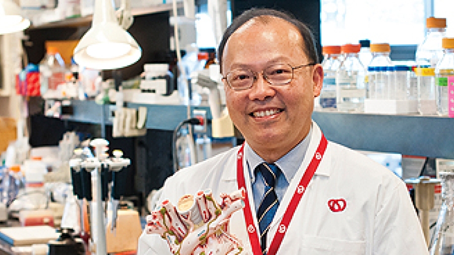Peter Lui, MD