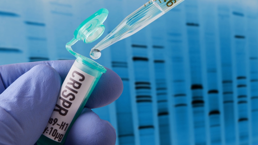Hand holding vial doing CRISPR genomic research
