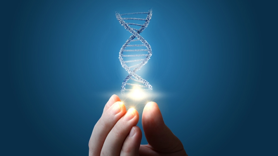 A composite image of a DNA double helix being held from fingertips