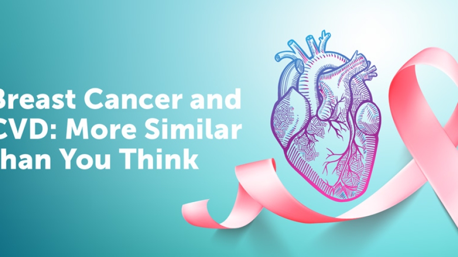 Breast Cancer and Cardiovascular Disease: More Similar than You Think