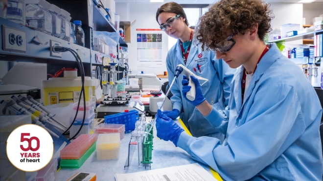 Researchers in a laboratory
