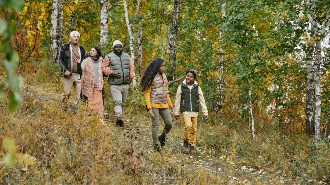 Family hiking in the forest