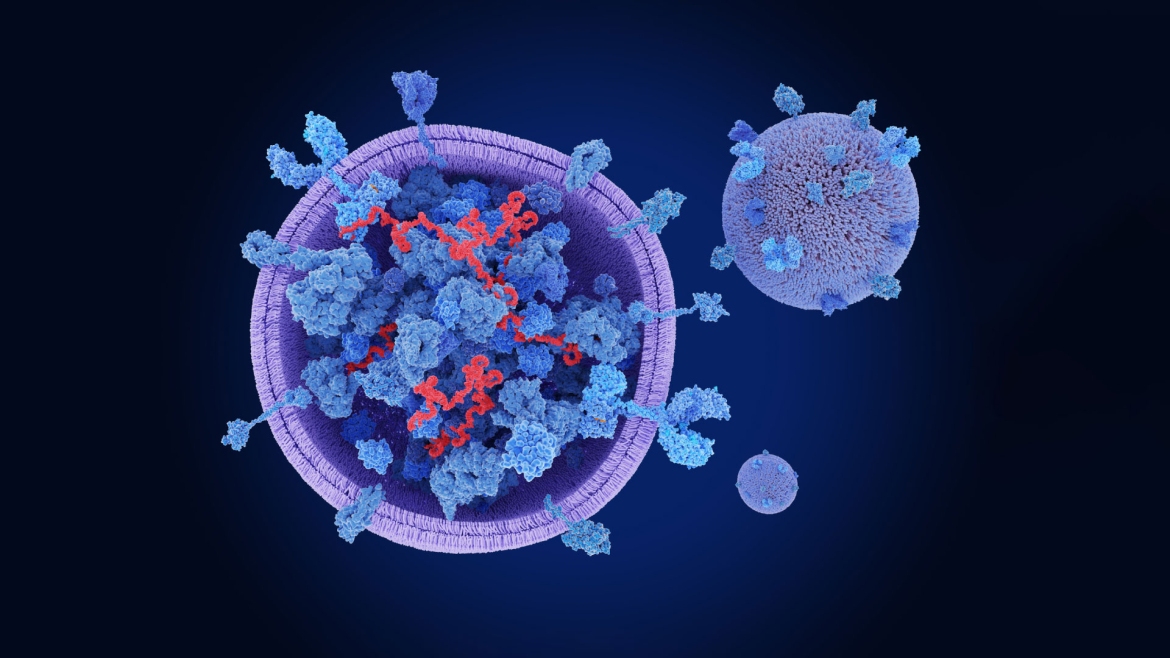 New initiative to eliminate postoperative atrial fibrillation