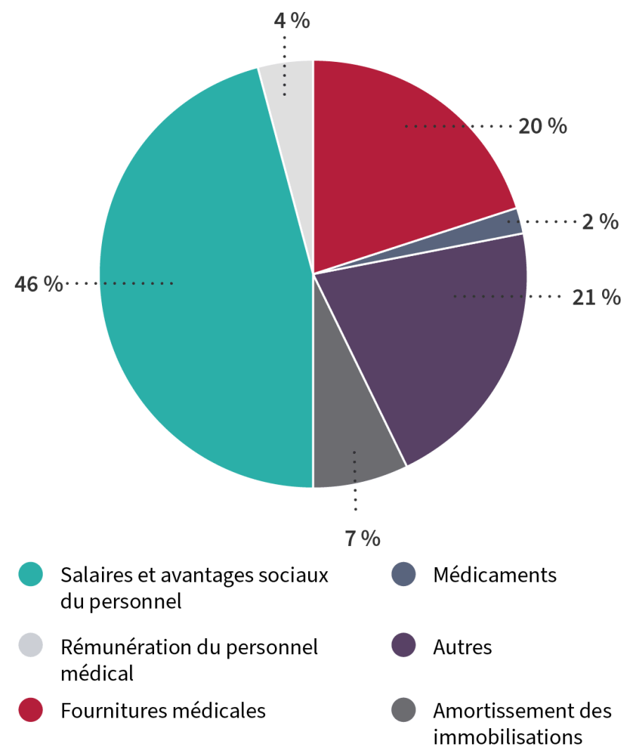 graphique dépenses