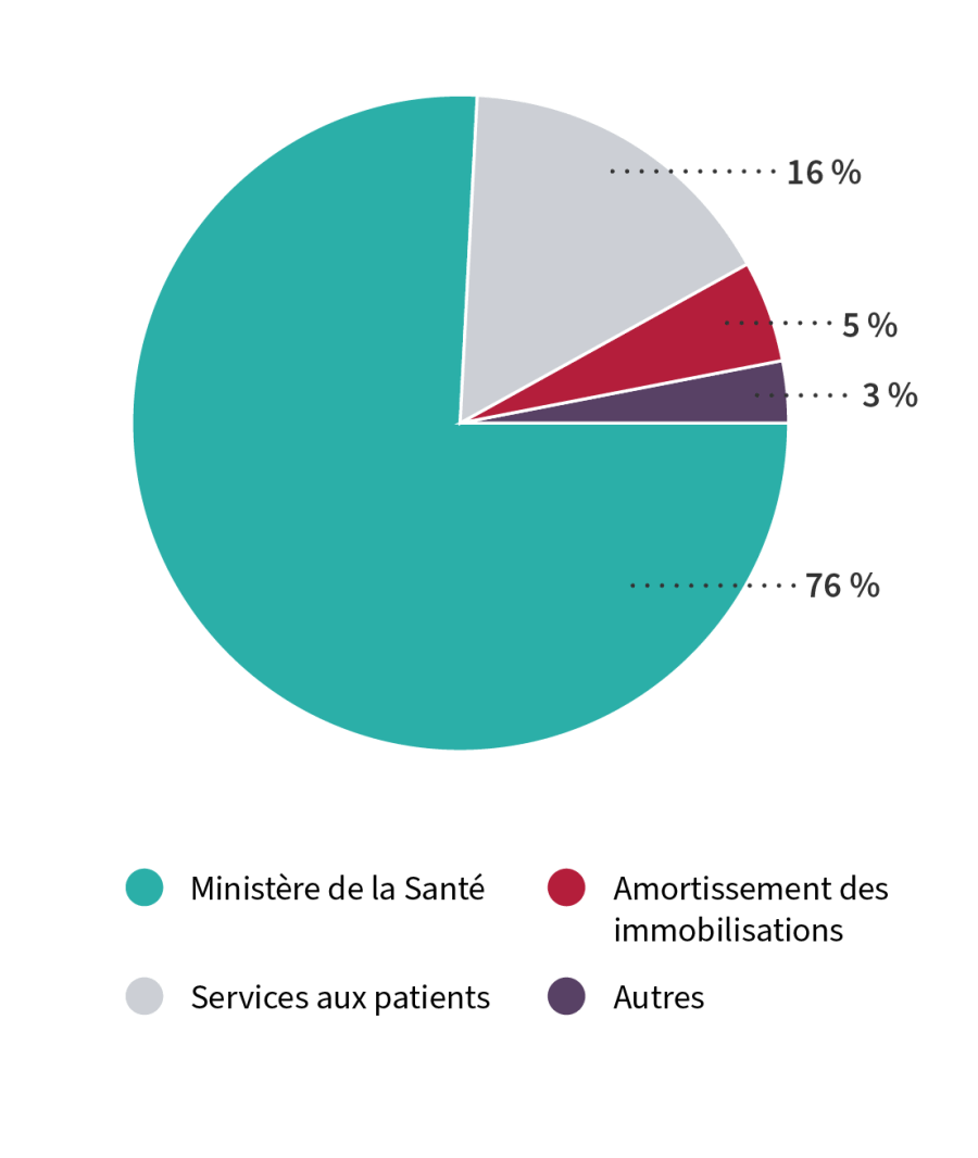 graphique revenue