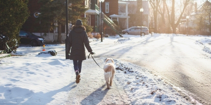 person walking with a dog in the winter