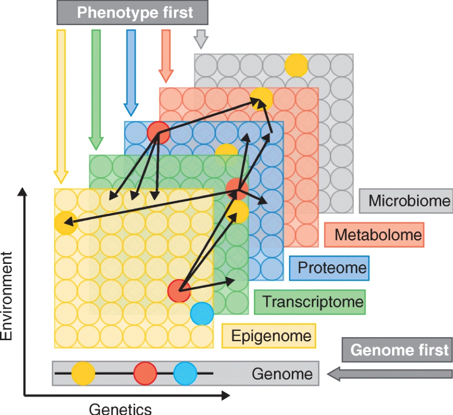 Environment versus genetics
