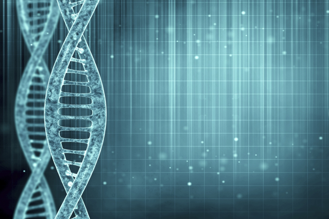 Research and Discovery