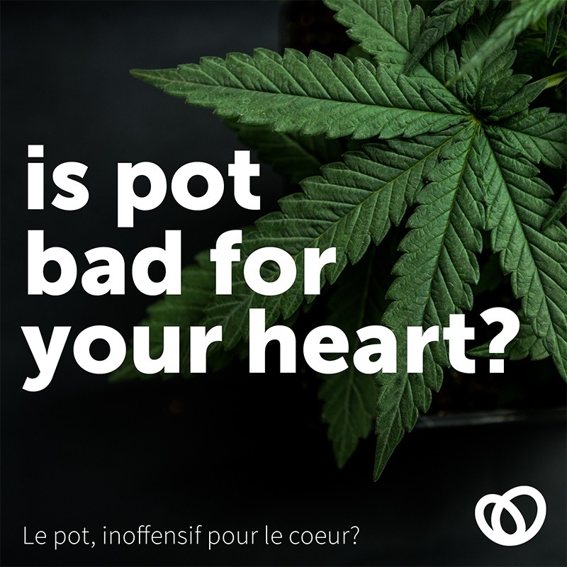 Decorative image: Marijuana and Your Heart, The Beat, October 2018.