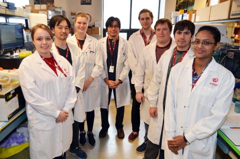Dr. Emilio I. Alarcon (middle) and his team of researchers in the Bio-nanomaterials Chemistry and Engineering Laboratory at the UOHI are developing new nano-structures to overcome the current limitations of biomimetic tissue scaffolds for regenerative medicine.